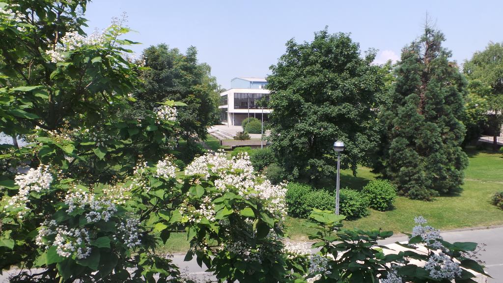 Hostel Levicki سلافونسكي برود الغرفة الصورة